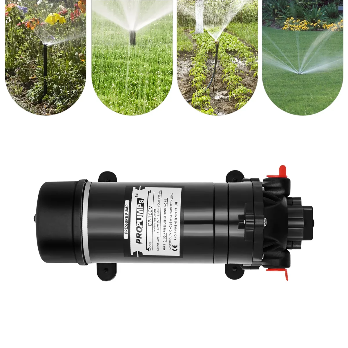 Pompe à eau électrique à membrane auto-amorçante