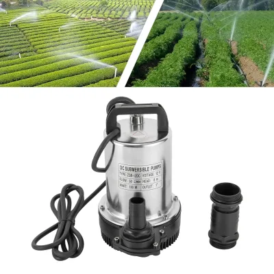 Pompe submersible 12 V en acier inoxydable